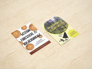 Mr. Lemaire • Bûcheron